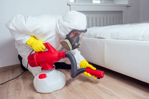 Best Flea Control Services  in West Lafayette, IN